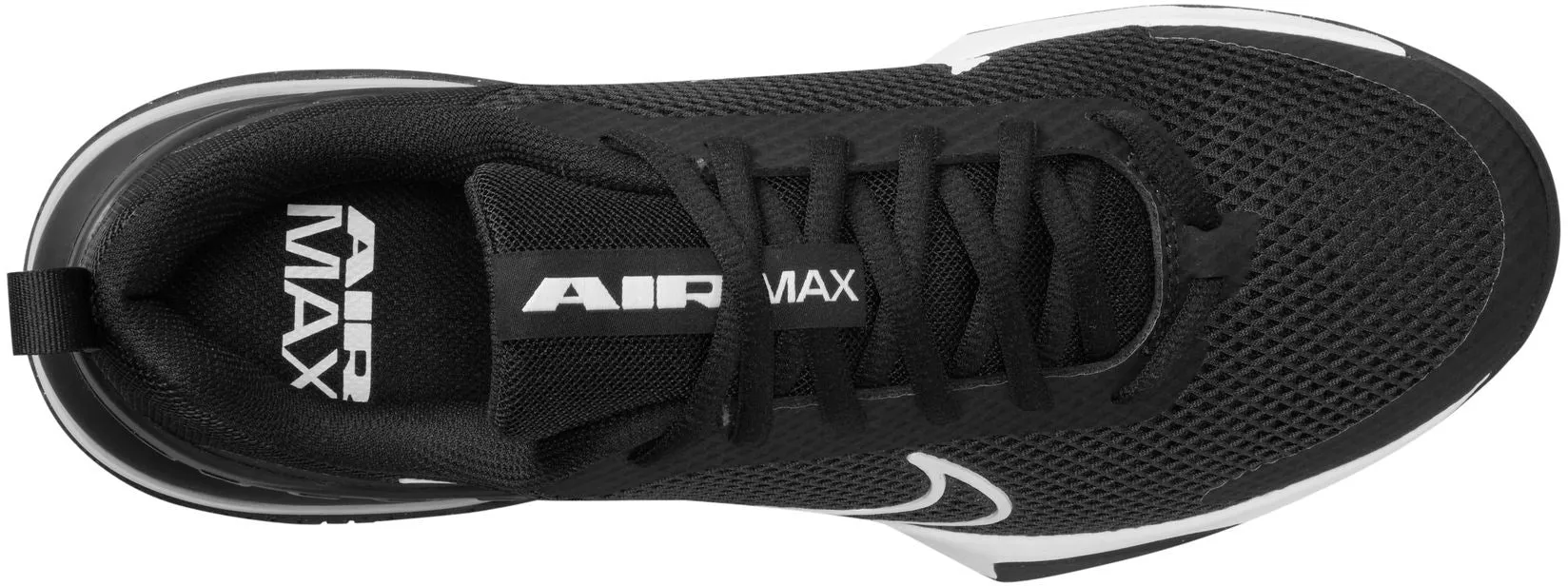 Air Max ALPHA TRAINER 6 Men's Sportswear Shoes