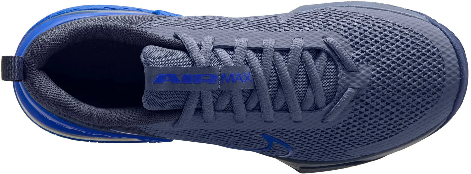 Air Max ALPHA TRAINER 6 Men's Sportswear Shoes