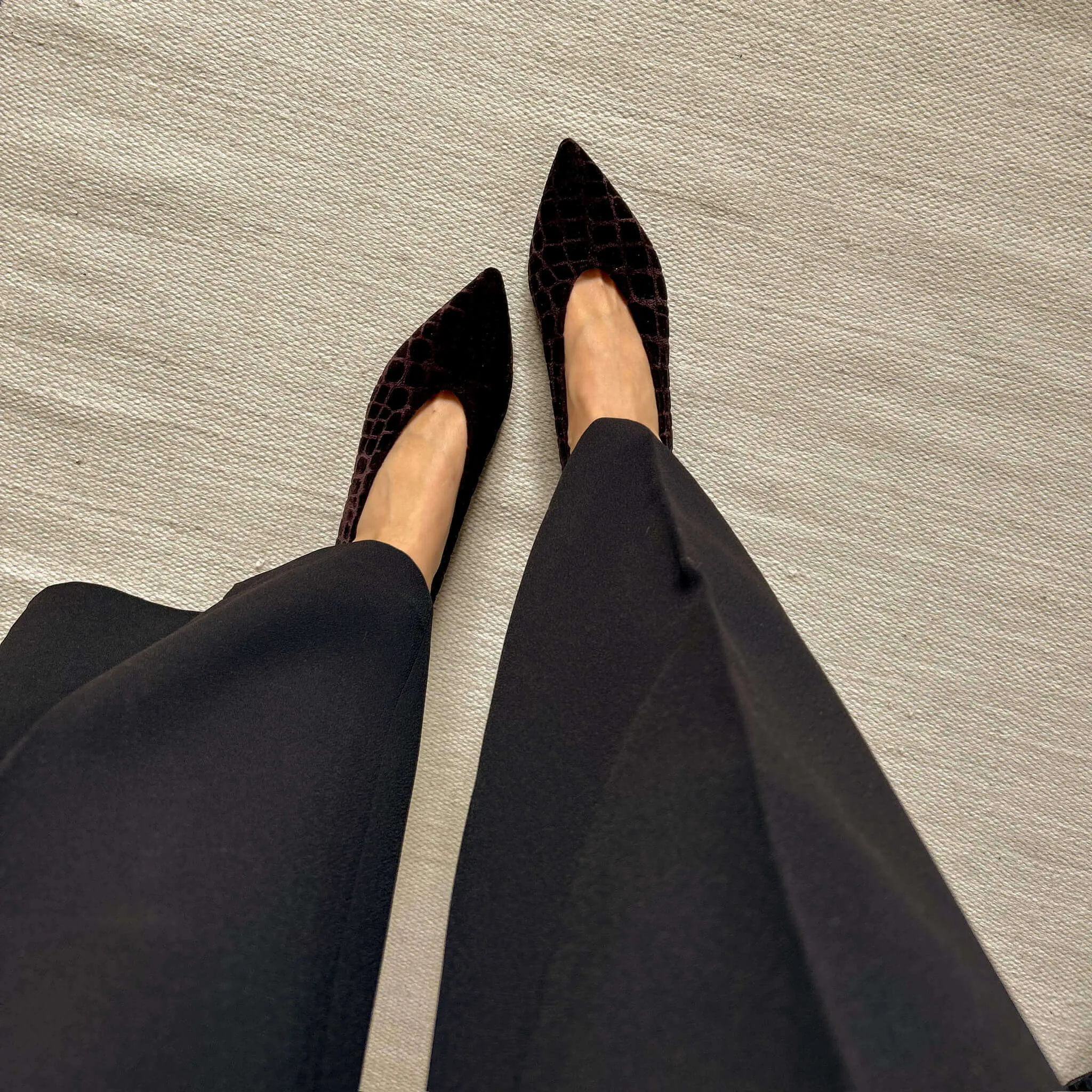 Coco V.2 Velvet Vegan Pointed Ballerinas | Earth