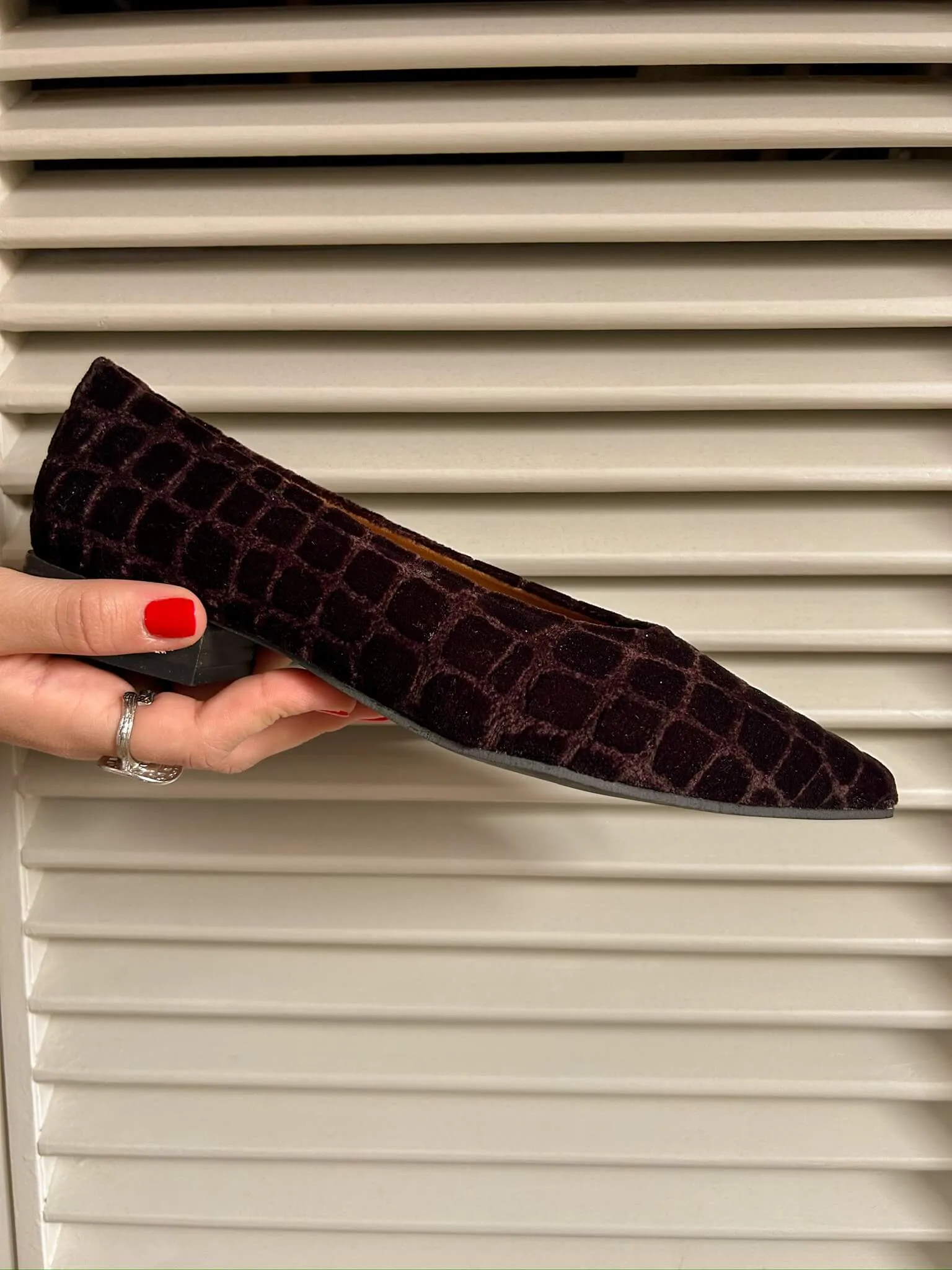 Coco V.2 Velvet Vegan Pointed Ballerinas | Earth